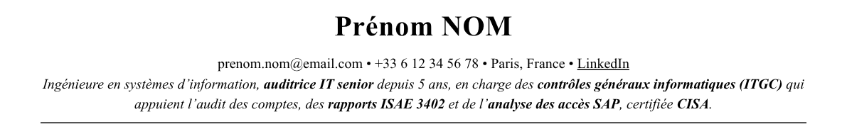 CV auditeur it : en-tête et accroche