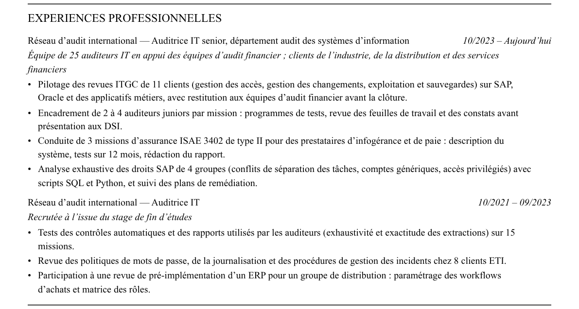 CV auditeur it : expériences