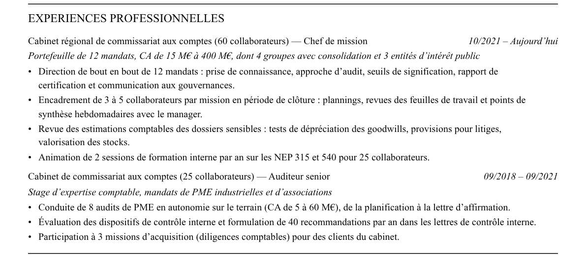 CV chef de mission audit : expériences
