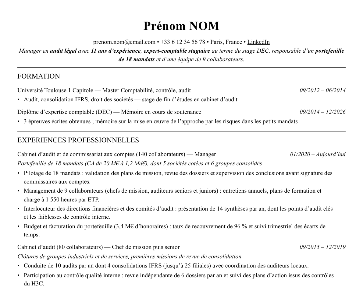 Aperçu : Exemple de CV Manager audit