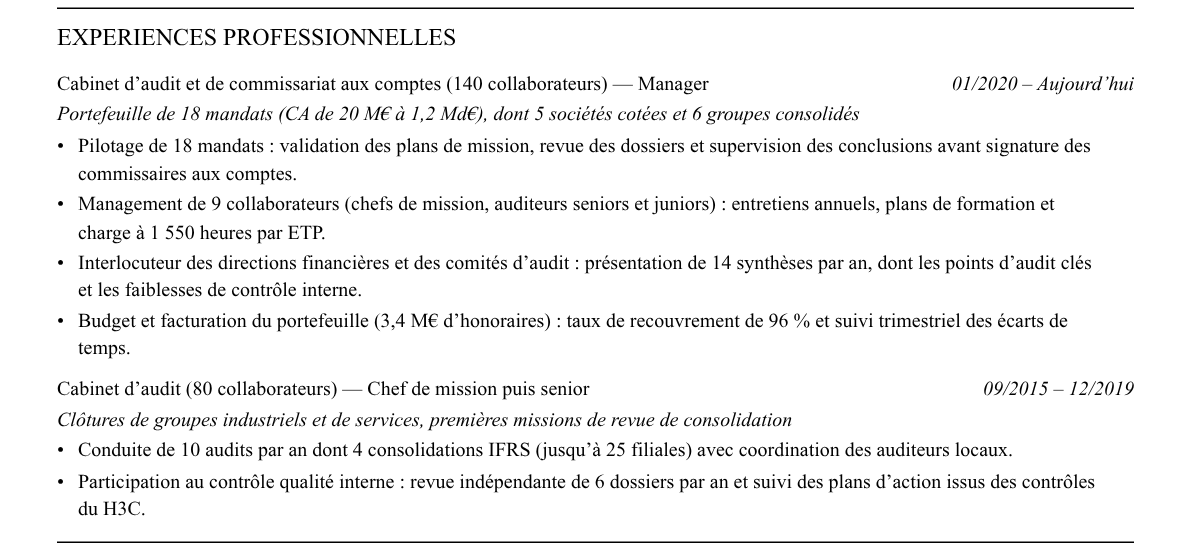 CV manager audit : expériences